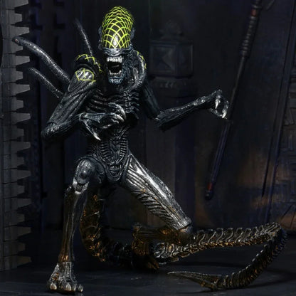 NECA Aliens Series 7 AvP Grid Xenomorph Action Figure (7" Scale) - Jaiman Toys